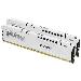 32GB Ddr5 6400mt/s Cl32 DIMM Kit Of 2 Fury Beast White Expo