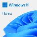 Windows 11 Home 64bit Oem - 1 Users - Win - English