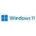 Windows 11 Pro 64bit - 1 Lic - Win - Dutch - USB Stick