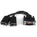 Dms-59 To Dual DisplayPort Cable Adapter - Dms To 2x Dp 8in