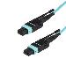 Mpo/ Mtp Fiber Optic Cable - Plenum-rated - Om3, 40GB - Push/pull-tab - 1m