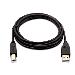 Cable - USB A Male To B Male - 2m