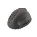 Wireless Ergonomic Optical Mouse 6D (Buttons), 2.4GHz, rechargeable battery black