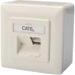 CAT6A Class EA network outlet, shielded 2x RJ45, LSA, pure white, surface mount, vertical cable installation
