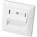 Faceplate for Keystone Jacks,3x RJ45 dust cover, 80/80 + central plate, pure white, separate ground connection
