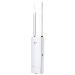 Wi-Fi Outdoor Access Point N300